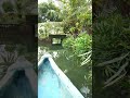 Vennila Chandana Kinam Malayalam Song What App Status Island Beauty