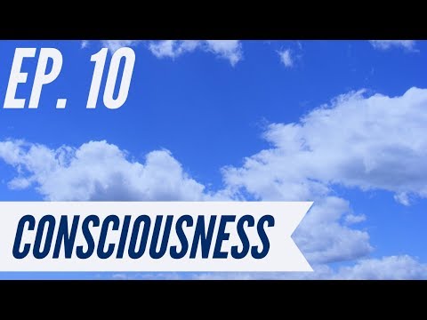 Ep. 10 - Awakening from the Meaning Crisis - Consciousness