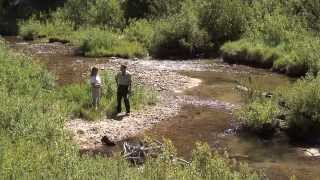 preview picture of video 'Mores Creek Restoration Overview 2013'