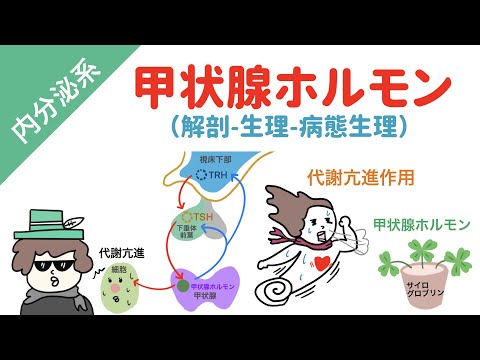 パラコクシジオイデス症