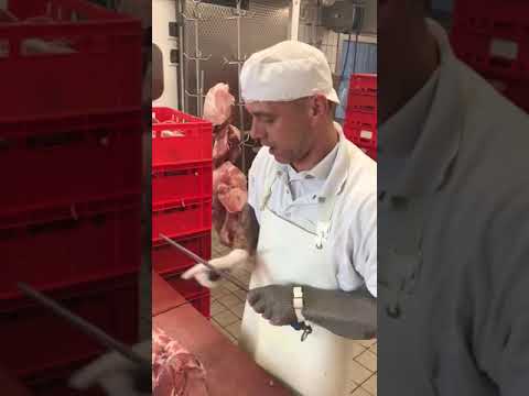 rzeźnik klasowanie szynki wieprzowej