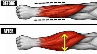 BEST EXERCISES TO GROW YOUR FOREARMS 10 X FASTER