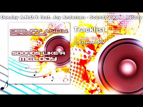 Deejay A.N.D.Y. - Sounds Like A Melody