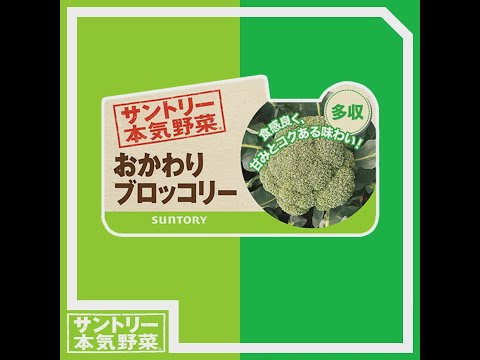 ブロッコリー 植物