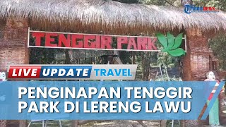 Nikmati Nginap Asyik di Tenggir Park Glamping di Lereng Gunung Lawu, Wisata Back to Nature