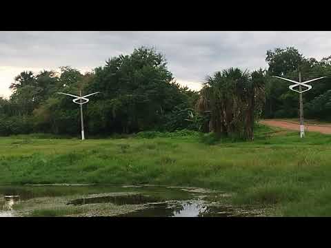 10/04/26,Lago dos Buritis, Bom Jardim de Goias, GO.