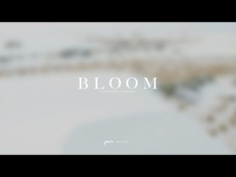 Piece Wise & Abroad - Bloom