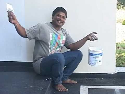 Shalimar Paints Overview with Detailing