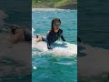 MASSIVE Great White Shark Crashes Her Surf Session