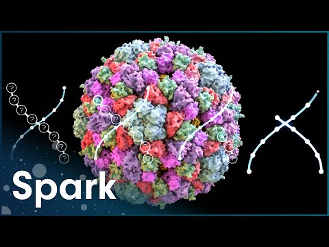 The Ambitious Mission Of Cracking The Human Genome