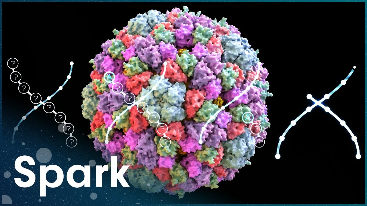 The Ambitious Mission Of Cracking The Human Genome