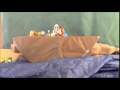 Stop Motion Arca De Noè
