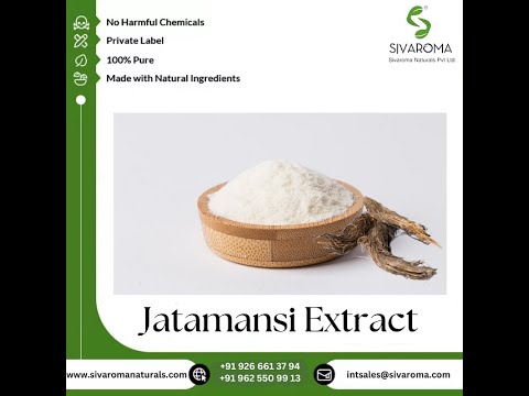 Jatamansi Dry Extract
