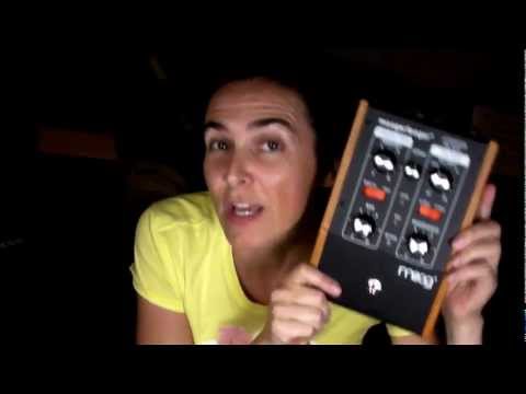 MOOGERFOOGER 101 LOW PASS FILTER - Review and Demo by Nenne Effe
