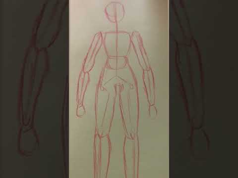 Female body tutorial