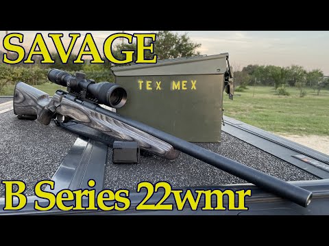 Savage Arms B22 FV 22LR Rimfire Rifle Review