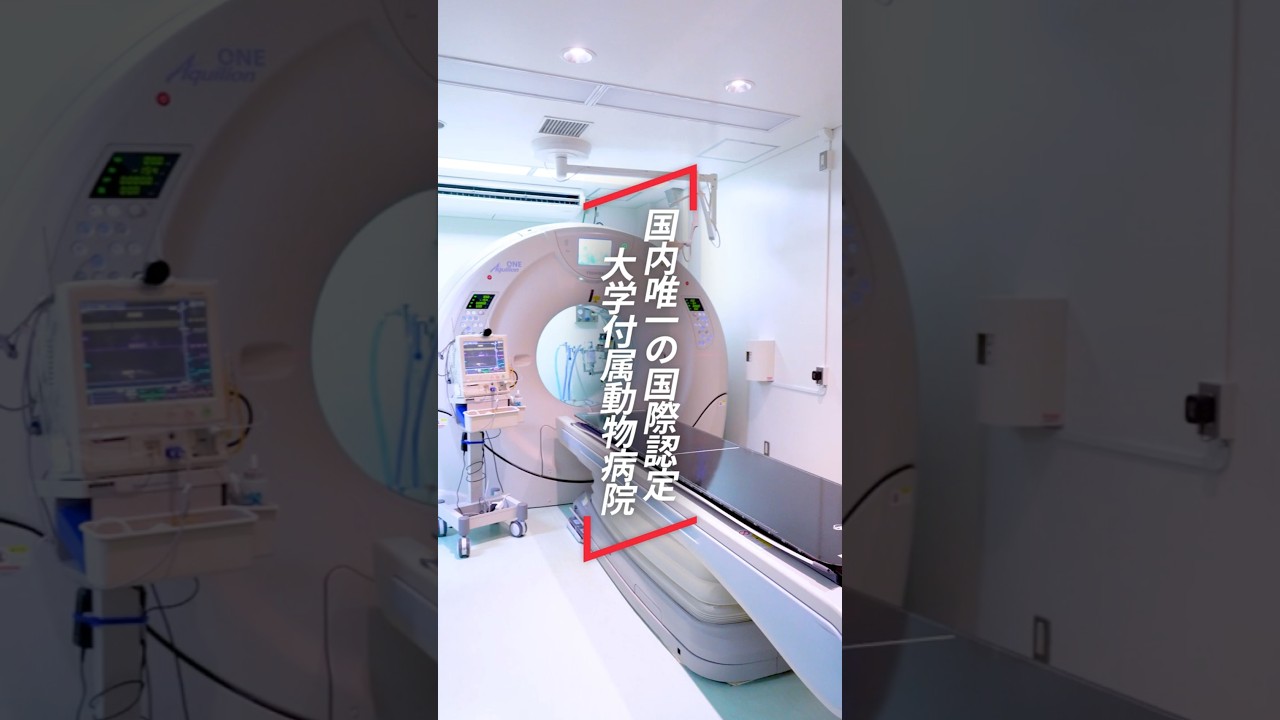 学長がいく！生物資源科学部・動物病院編