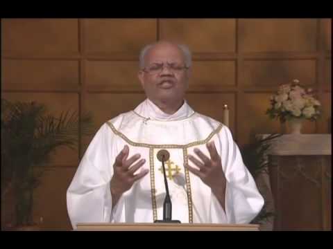 Daily Mass, Tuesday 11 August 2015