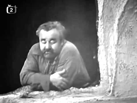 Balada z hadrů - plíce