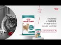 Royal Canin Ageing Sterilised 11+