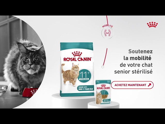 Royal Canin Ageing Sterilised 11+