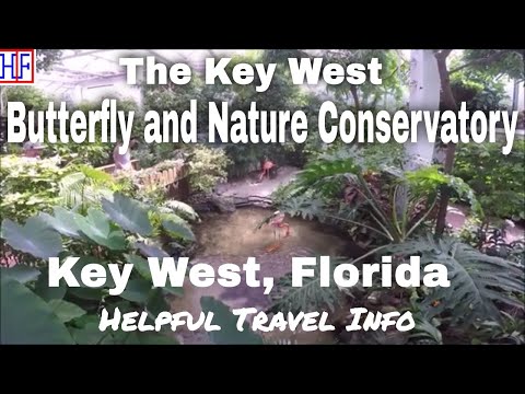 The Key West Butterfly and Nature Conservatory - Florida | Key West, FL Travel Guides - Episode# 3