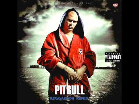 Pitbull - Reggaeton Remix (Full Album)