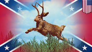 Got something to say about the Confederate flag? So does this Jackalope - TomoNews