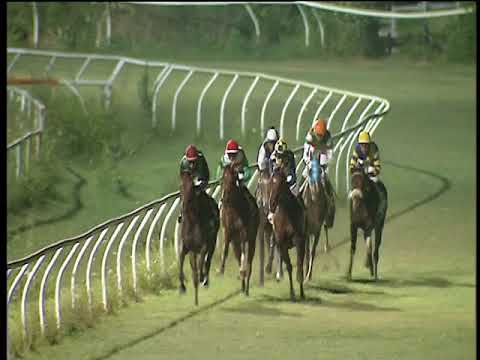 Galoppo 14/07/2018 - 5ª corsa