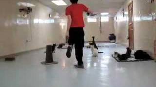 Wolf Parade - Grounds for Divorce