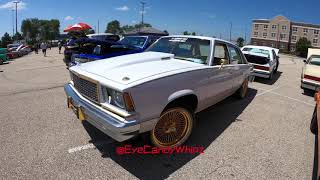 Malibu on all gold Daytons