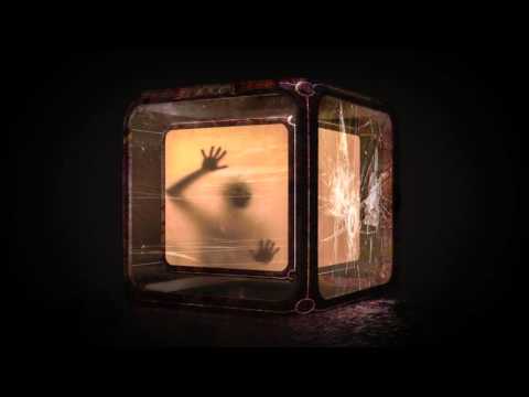 Video thumbnail for Order Out of Chaos