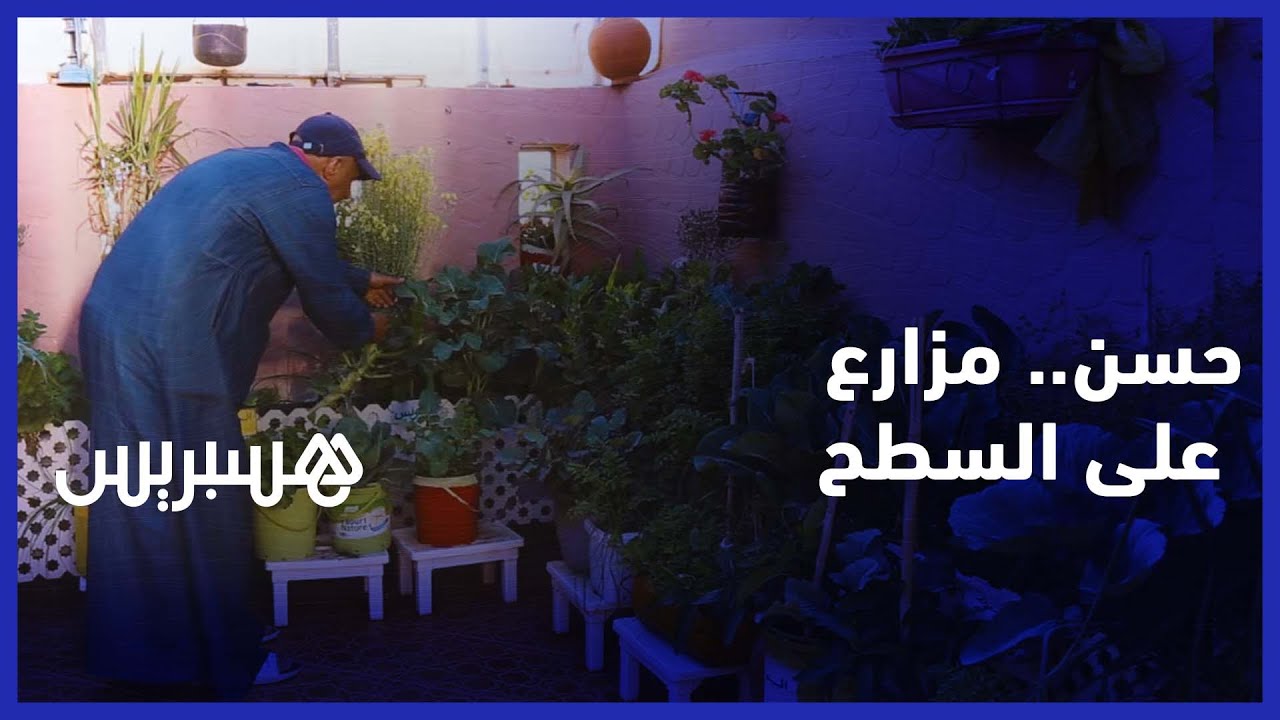 لتحقيق الإكتفاء الذاتي من الخضروات والفواكه.. مغربي يحول سطح منزله الى مزرعة thumbnail
