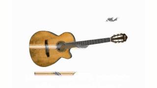 Video thumbnail for Ibanez AEG10NII Nylon String Cutaway Acoustic-Electric Guitar by marolanca