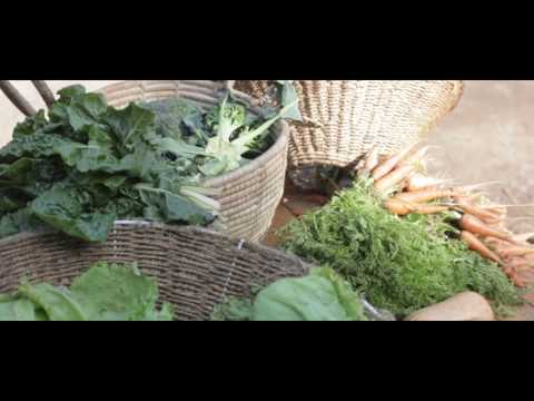 Erf 81 Sunday Markets in Tamboerskloof