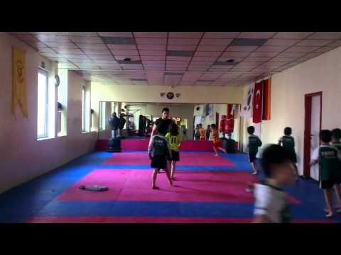 U8 (Jhg. 2006) des SV Fortuna Herne Beim Taekwondo