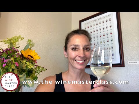 Introducing the Wine Masterclass