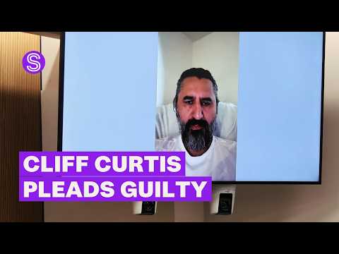 Thumbnail for Cliff Curtis pleads "guilty" to drink driving after crash put taxi driver in hospital | Stuff.co.nz
