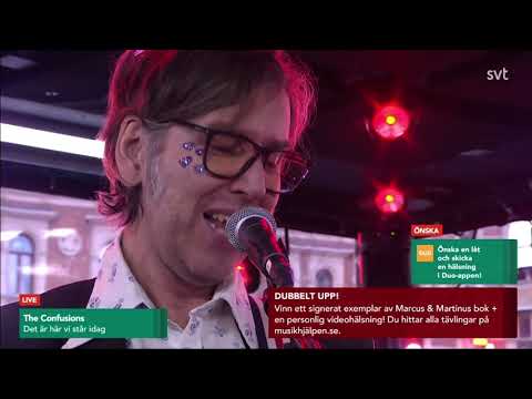 The Confusions live at Musikhjälpen 2024 (full concert and interview)