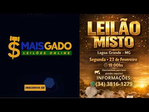 🐂🐄🐃 LEILÃO MISTO DE BOVINOS - LAGOA GRANDE/MG - MAIS GADO LEILÕES 🐂🐄🐃