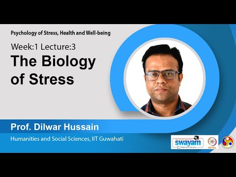 Psychology of Stress Health and Well being Intro Video