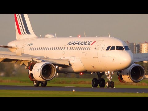 SUPER CLOSE UP Landings at Schiphol Airport | Late Evening and NIGHT Planespotting | AMS/EHAM