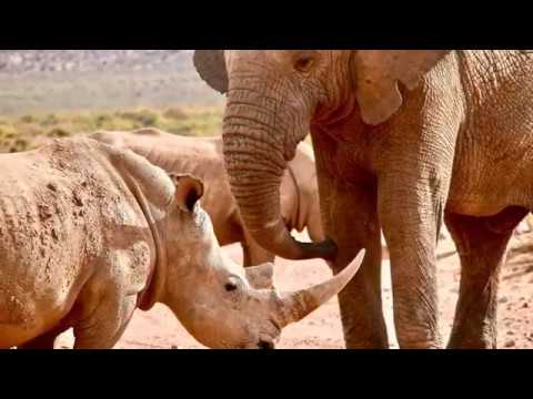 Southern Circle 24 Day Camping