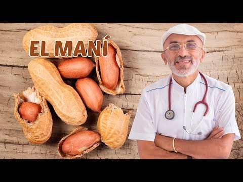 El maní