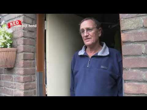 Red Man bijt hond belt aan en vraagt... | redmanbijthond.nl