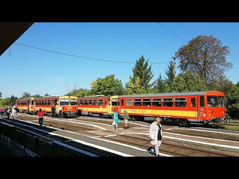 By train between Oradea station and Gyula station