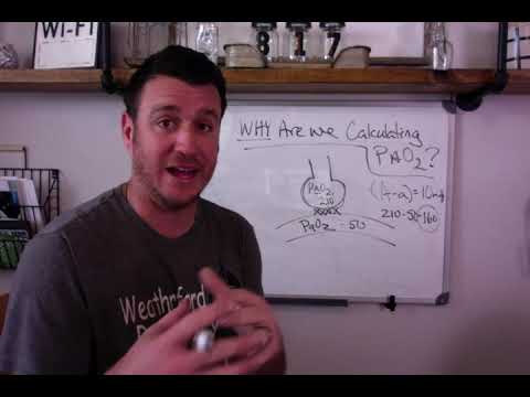 Respiratory Therapy - WHY ARE WE CALCULATING PAO2?