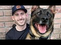 Behind The Scenes Meet My New K9 Partner KOBUS