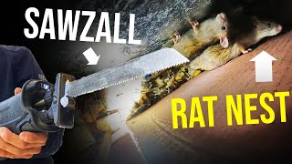 SAWZALL vs RATS...how to get rid of rats in your walls QUICKLY!