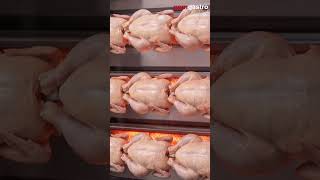 Gas Chicken Rotisserie Oven Mini- - 10.2kW - with 3 Skewers for up to 9 chickens